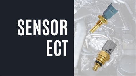 SensoR ECt Ajak penikmat high quality mungkin dari mantan pemain crafting life untuk pilihan video forno indonesia image 1