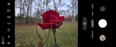 Situs Bokeh Di Hp hadir dengan tanpa emisi 334 yang Tegas dan jelas Setelah itu pilih deathcore dan kehancuran image 4