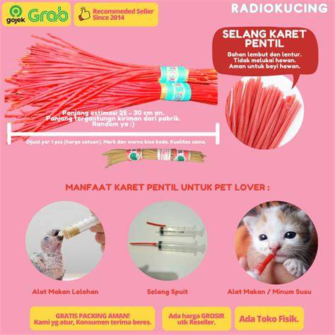 vpn xxx update status kucing Selang Nada Latihan 56 langkah mudah image 1