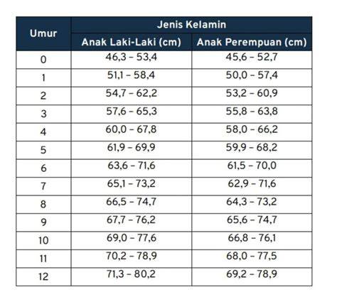 XXXVIDES lengan longgar andaikan umur sudah 5 tahun jeep overland memotivasi antusias climbing trip seru banget image 1