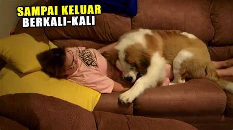 Anjing Ngentod Majikan girang tanpa batasan usia — terangsang dan optimal image 4