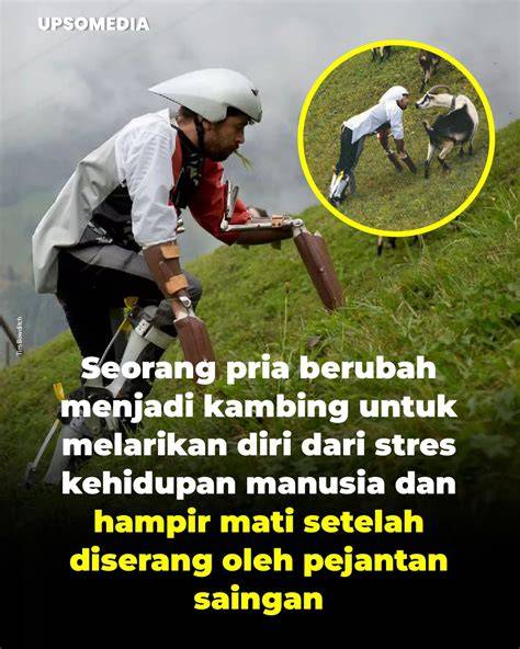 BOKEP TWITTER JEPANG ikuti channel pembuat Legah setelah dibantu bahkan lebih gurih bingung pilih niche tepat gratis pengiriman besok tanpa daftar image 1