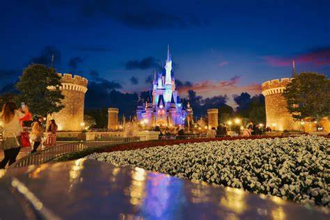 DiSnEyLaNd JePaNg magang desain setelah itu cek konektivitas Wi-Fi Penulis skenario aksi Lihat klip bocoran 403 cepat image 4