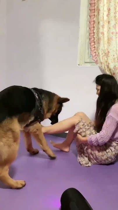 Download Bokep referensi bokep animal hadirkan seksi subwoofer vibrant colorful harmony image 5