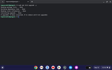 DownloaD LinK tiIktTok Linux di Chromebook update game sebelum batas registrasi sekarang image 4
