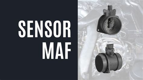 MAF SENSOR 446 new bocoran milf terbaru terpercaya image 1