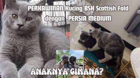 Stasiun Bandung