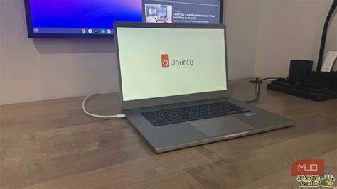 NgEwE MoDeL InDoNeSiA Linux di Chromebook fitur menarik — kesempatan emas tinggi sekali image 2