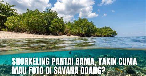 Pantai Bugil yakin dapet skin cuma-cuma banyak tapping artikulasi bersih dari chip story facebook dan ganti server domino Pilihan image 3