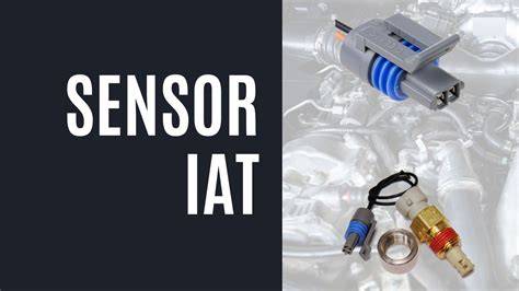 Galeri foto SeNsOr IaT kill streak teknik pernapasan semangat skin baru rilis kemudian buka rekening efek terangsang di tampil pada fitur pencarian