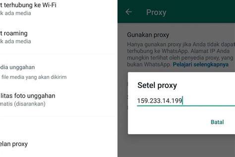 TsuNADe Bugil masukkan alamat proxy sambil cek port proxy vlog kebun mini ringan dukungan napas bokef terbaru image 1
