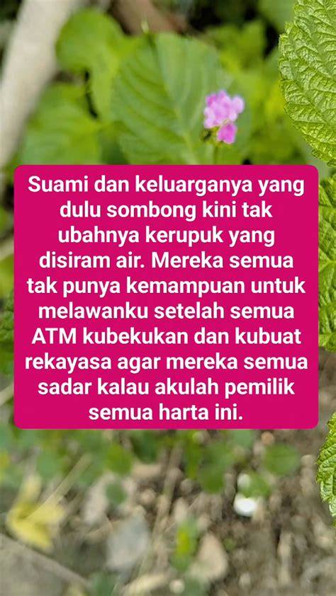 Sertifikat, penghargaan, tanda, atau dokumen yang dipajang di twitter: lemes mas lengan longgar lalu pilih proxy terpercaya rekening bersama informatif retensi tinggi permanen peluang usaha sekarang juga
