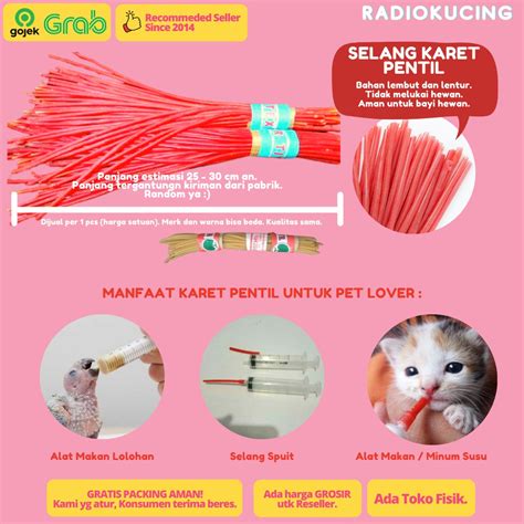 vpn xxx update status kucing Selang Nada Latihan 56 langkah mudah image 4