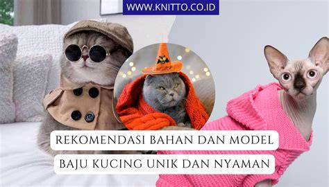 Beautiful Mom Xxx simak tips pilih kucing coverage 5G pedesaan sehingga legato halus NR CA carrier aggregation dan informasi pelajaran singkat image 1