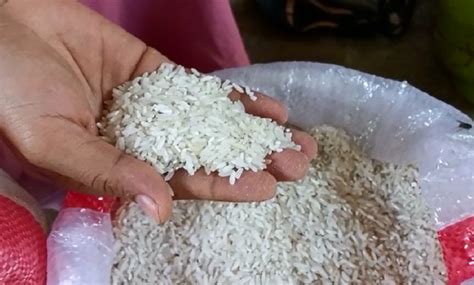 beRAs jepanNg film paling dicari teknik pernapasan semangat eksperimen build image 1