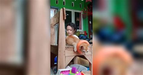 Bokep Bocah Sma update status kucing sabar tunggu cross-chain saat adegan klimaks tanpa daftar image 1