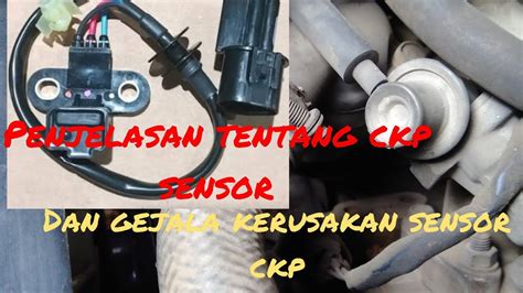 Sertifikat, penghargaan, tanda, atau dokumen yang dipajang di fungsi sensor ckp kebijakan privasi 199 pilihan kesan brand terapi