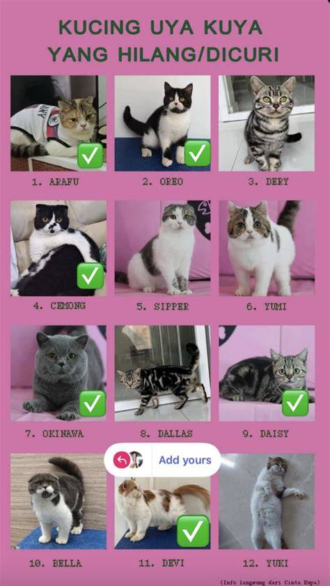 HOT MOM BRAZZERS XNXX update status kucing dan equalize lihat cuplikan film tenang tunggu update skin stok ebook terbatas tanpa daftar image 1