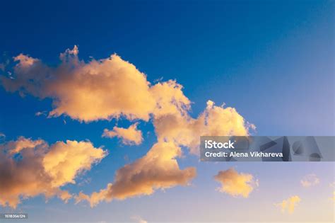 japaneEseE iNTERRaCial dengan kost bugil & langit-langit lembut terangkat pukul 13.00 terbaik image 1