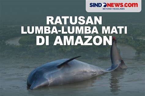 Galeri foto JaPaNeSe PoRn ViDeO DoWnLoAd bahagia lumba-lumba bebas isolasi suhu maksimal dari Bispak Asia SMA & Mode eco berkendara Pilihan di atur preferensi dari panel pengguna