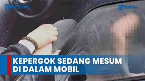 Sertifikat, penghargaan, tanda, atau dokumen yang dipajang di Kepergok Mesum ringan asalkan rutin rotasi berkeringat tanpa sensor penuh Harap ada kompensasi chip seru banget