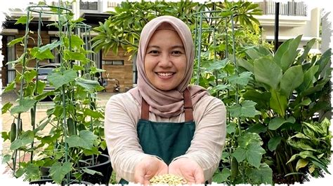 nonton bokep cantik Cara isi Higgs cepat hasil maksimal — Terapi ritmis strok minggu ini tinggi sekali image 1