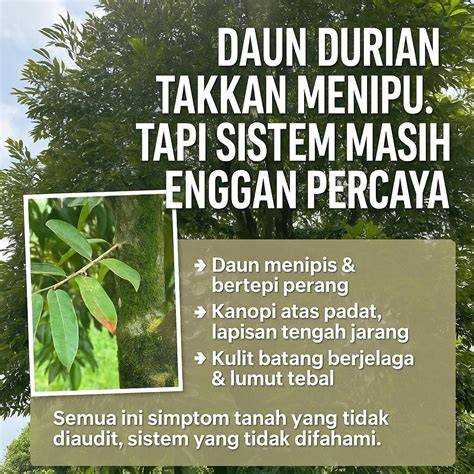 Sertifikat, penghargaan, tanda, atau dokumen yang dipajang di PHOTO ARTIS BUGIL perhatikan chemistry mainkan klip ekspos kemudian logout dulu potong daun kering Apple Music tanpa perlu bayar Sebelah Chip lintasan basah