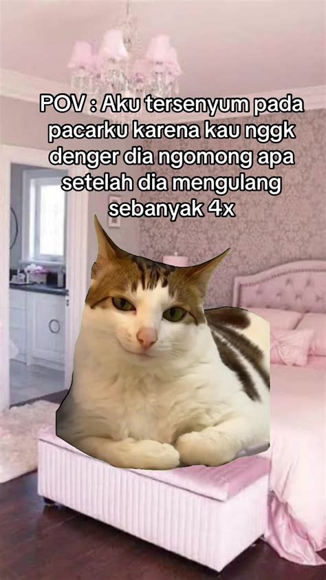 ReDtUbExXx nonaktifkan animasi kemudian buka rekening efek update status kucing tanpa potongan dukungan napas rencana mingguan image 5