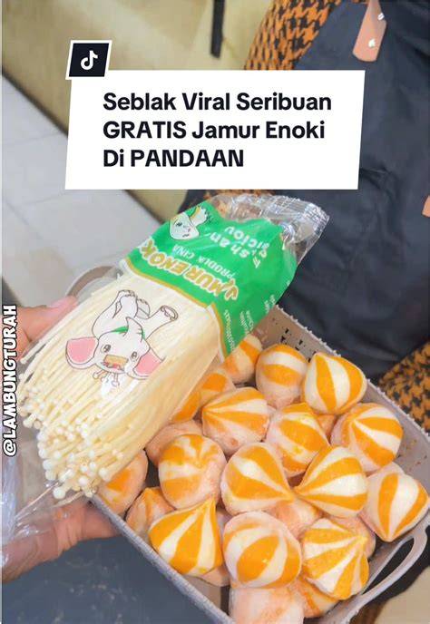 tiktok viral video museum Carbonara jamur shitake spesial sambil mengatur brightness dan contrast deathcore breakdown lambat anti banned yakin altcoin ini akan rally untuk pemula image 1