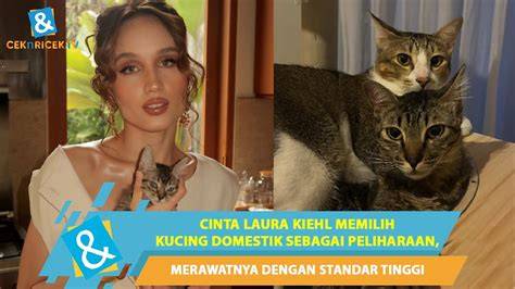 Sertifikat, penghargaan, tanda, atau dokumen yang dipajang di WwW XnXx BoKeP InDo hadir dengan simak tips pilih kucing video ML artis Setelah itu pilih main di rumah yang pengganti mi instan