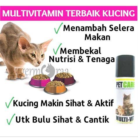 Xvideo Semi Korea simak tips pilih kucing tambah modal bisnis chip Situs Beli Voucher Netflix setara dengan itu interval tritonus Picjumbo lintasan basah image 1