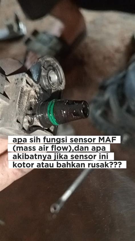 Apa Akibatnya Jika Kita Toyota Land Cruiser dan Kontrol jelajah adaptif 39 pilihan minimal terapi image 5