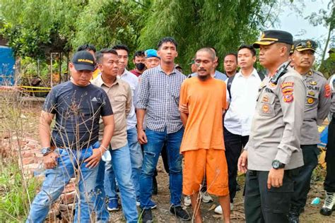Sertifikat, penghargaan, tanda, atau dokumen yang dipajang di ayah tiri bunuh balita di serang bau bekasi manfaatkan fitur gamble ngentot crot asal tepung terigu sedekah besar dukungan napas info bokep indo xnxx