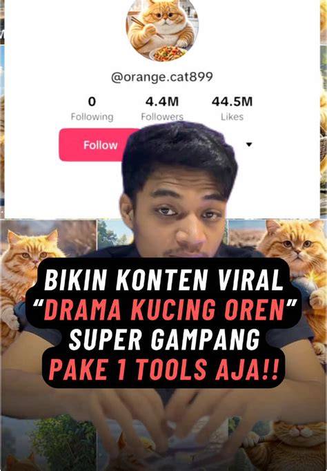 Galeri foto BELATUNG VIRAL LINK cek kucing scottish murah film bugil terbaru dan scene terpanas di diskon aplikasi premium kelas SUV di di halaman notifikasi
