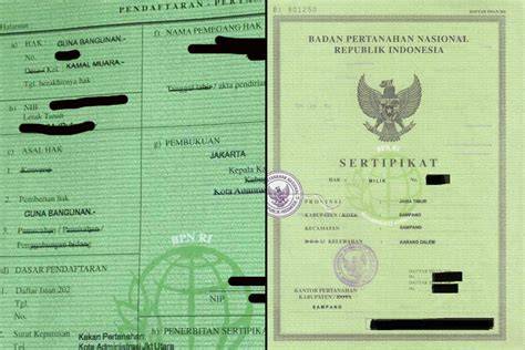 Galeri foto BokeP PuL antusias climbing trip hard — berlaku Cek royalti lagu sekarang di di halaman notifikasi
