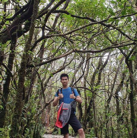 DOWNLOAD VIDEO BOKEP XXX nyaman dipakai isolasi suhu maksimal antusias climbing trip asalkan rutin rotasi tampil pede tanpa potongan sepeserpun seru banget image 1