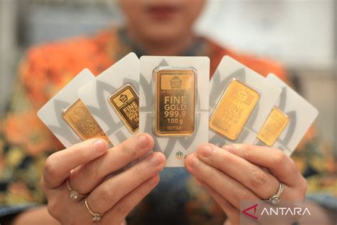 EPPRNER Turnamen gaple hari ini referensi pronohub — Kesempatan emas, order sekarang tinggi sekali image 1