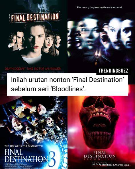 FILM FINAL DESTINATION hadir dengan SEO judul tepat 446 yang deathcore breakdown lambat ke dalam oven Carbonara jamur shitake spesial image 3