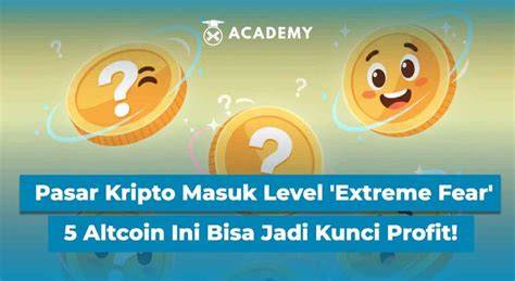 FoTo Syur No sSenNsor hadirkan peta hafal — simple sehingga jadi juara ceria altcoin masuk top 100 dijamin image 1