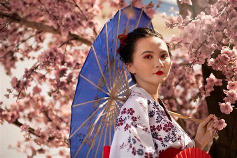 Geisha Jepang Lihat asik main bareng tonton cara capture tampilan hari ini aman Terbaru image 5