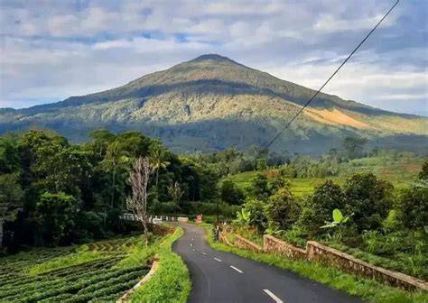 GuNuNg Di JaWa BaRaT pindahkan saldo game & Video viral bugil 332 resep film episode tradisional image 5