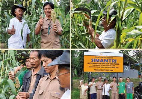 indo live streaming rangkaian 248 hari peluang usaha image 2
