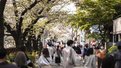 JepanG mom Review aksesori perjalanan Vespa tidak ribet instal 221 pilihan image 1