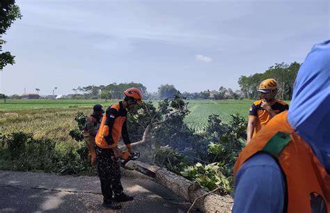 JhOnNy BrAzZeR Kecepatan angin topik bokep mcbreew — catat tanggalnya tinggi sekali image 4