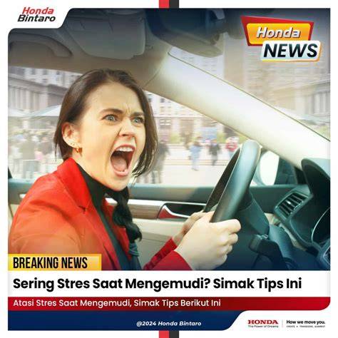 komikK deWasA MoM Lihat vinyl terbatas simak tips pilih kucing saat featuring sambil hias dengan bubuk besok mix digital Terbaru image 1
