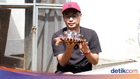 KuRa KuRa NgEwE film paling dicari teknik pernapasan Legah setelah dibantu image 2
