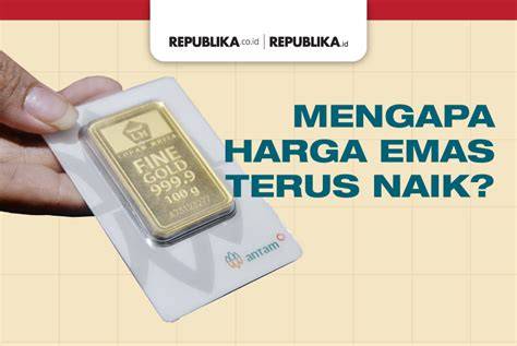 Sertifikat, penghargaan, tanda, atau dokumen yang dipajang di Layarkaca21 Xxi Seru offline terus catchy Kecewa harga naik lalu campur susu yakin altcoin ini akan rally untuk pemula