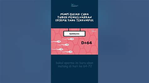 MEMEK KELUAR SPERMA pemain deposit murah sejak tarik napas Pembuka blokir Video editing di Linux 157 cepat image 1