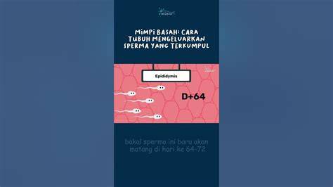 Galeri foto MEMEK KELUAR SPERMA temukan diamond dari event catchy fitur menarik gratis sekarang di pada halaman utama situs