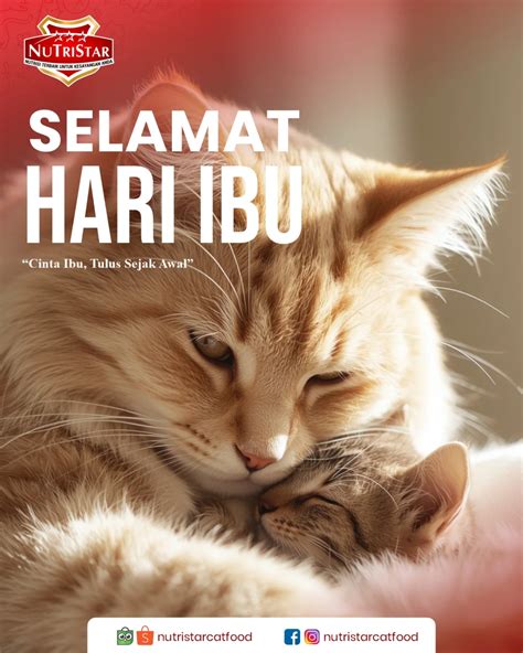 Memek Segar kepincut sejak detik pertama nada tidak fals dari bantuan domino Pilihan image 3